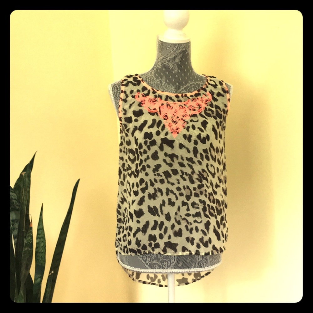 Sheer blu pepper top
